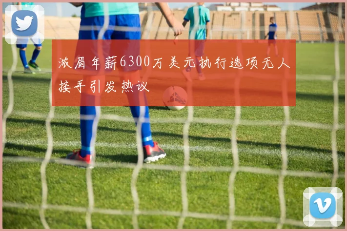 浓眉年薪6300万美元执行选项无人接手引发热议